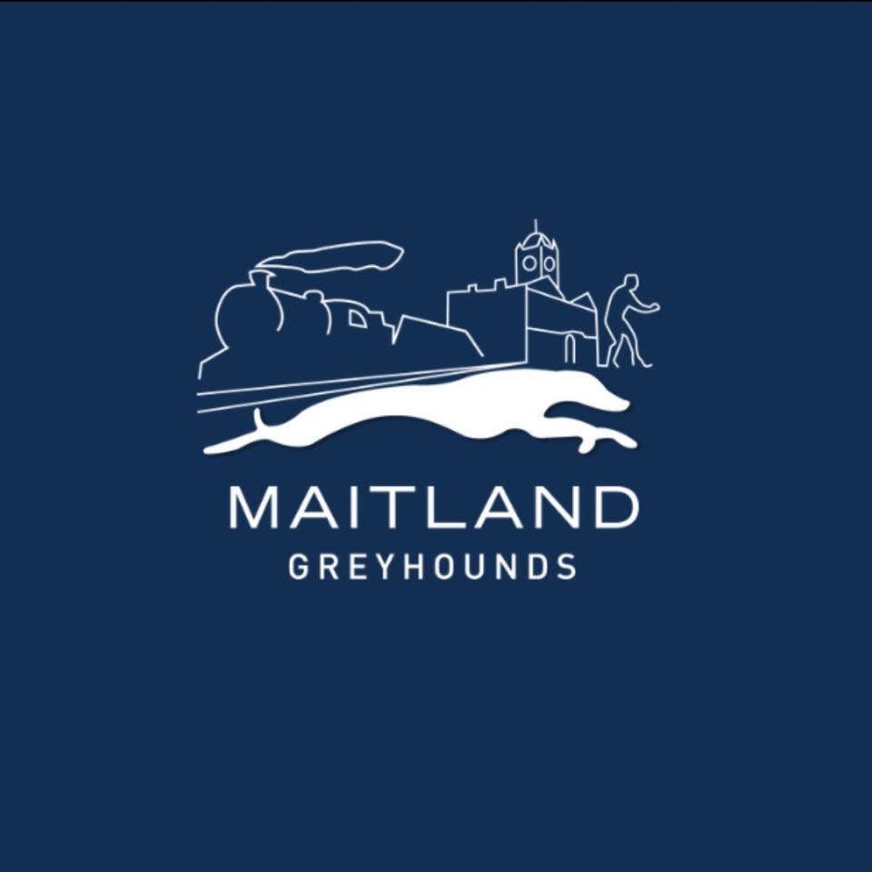 sponsor-logo